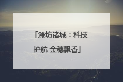 潍坊诸城：科技护航 金穗飘香