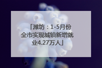 潍坊：1-5月份全市实现城镇新增就业4.27万人