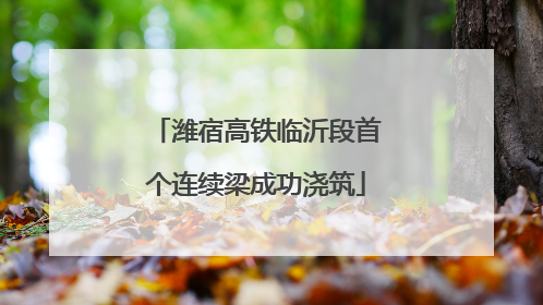 潍宿高铁临沂段首个连续梁成功浇筑