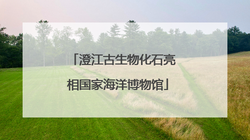 澄江古生物化石亮相国家海洋博物馆