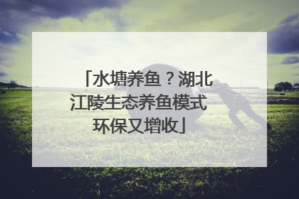 水塘养鱼？湖北江陵生态养鱼模式环保又增收