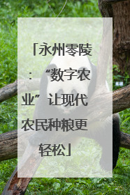 永州零陵：“数字农业”让现代农民种粮更轻松