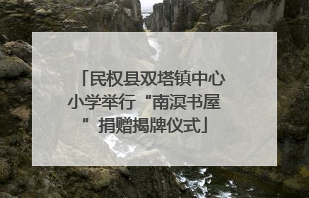 民权县双塔镇中心小学举行“南溟书屋”捐赠揭牌仪式