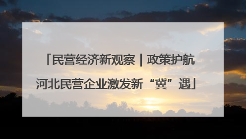 民营经济新观察｜政策护航 河北民营企业激发新“冀”遇