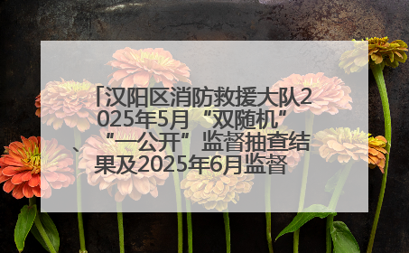 汉阳区消防救援大队2025年5月“双随机”、“一公开”监督抽查结果及2025年6月监督抽查任务公示