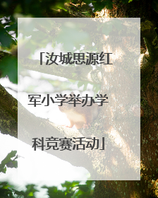 汝城思源红军小学举办学科竞赛活动