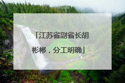 江苏省副省长胡彬郴，分工明确