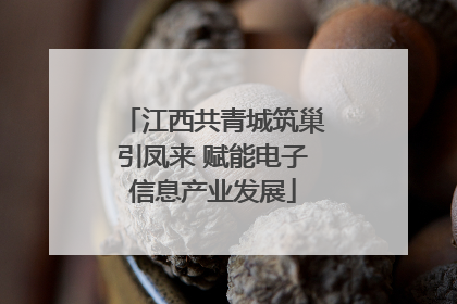 江西共青城筑巢引凤来 赋能电子信息产业发展