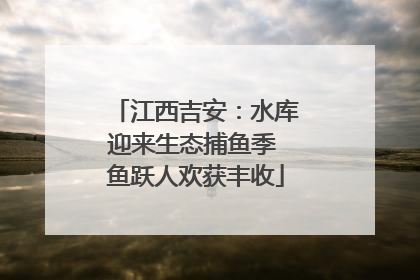 江西吉安：水库迎来生态捕鱼季 鱼跃人欢获丰收