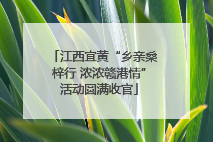 江西宜黄“乡亲桑梓行 浓浓赣港情”活动圆满收官