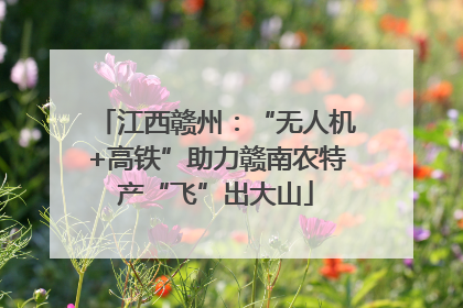 江西赣州：“无人机+高铁”助力赣南农特产“飞”出大山