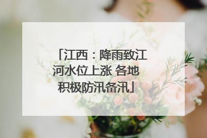 江西：降雨致江河水位上涨 各地积极防汛备汛