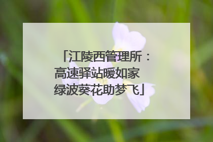 江陵西管理所：高速驿站暖如家 绿波葵花助梦飞