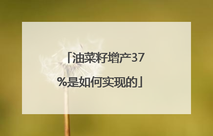 油菜籽增产37%是如何实现的