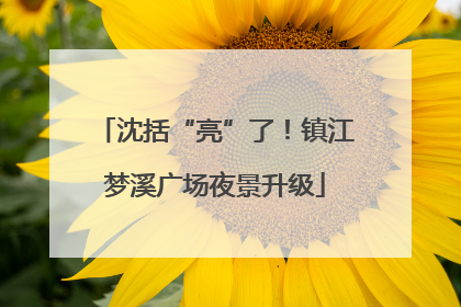 沈括“亮”了！镇江梦溪广场夜景升级