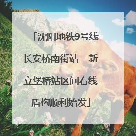 沈阳地铁9号线长安桥南街站—新立堡桥站区间右线盾构顺利始发