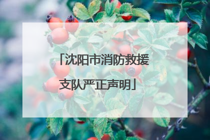 沈阳市消防救援支队严正声明