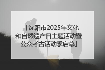 沈阳市2025年文化和自然遗产日主题活动暨公众考古活动季启幕