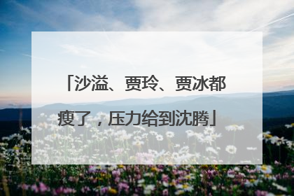 沙溢、贾玲、贾冰都瘦了，压力给到沈腾