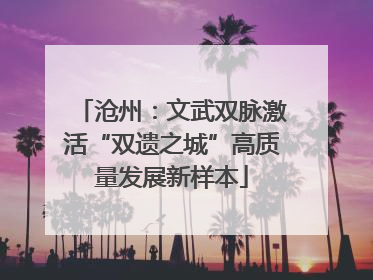 沧州：文武双脉激活“双遗之城”高质量发展新样本