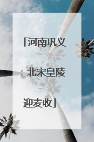 河南巩义：北宋皇陵迎麦收