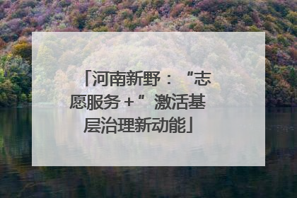河南新野：“志愿服务＋”激活基层治理新动能