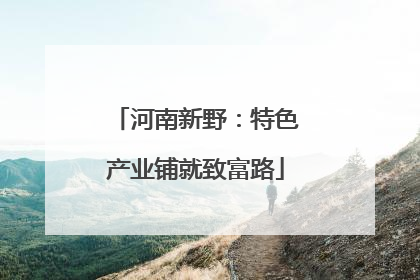 河南新野：特色产业铺就致富路