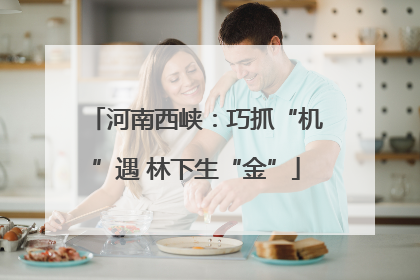 河南西峡：巧抓“机”遇 林下生“金”