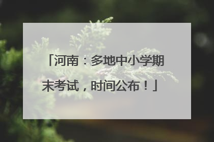 河南：多地中小学期末考试，时间公布！