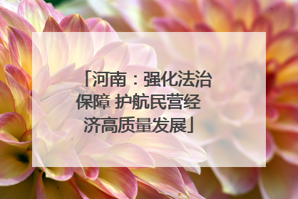 河南：强化法治保障 护航民营经济高质量发展
