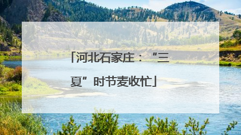 河北石家庄：“三夏”时节麦收忙