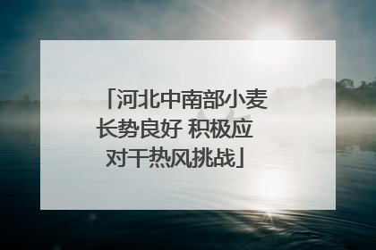 河北中南部小麦长势良好 积极应对干热风挑战