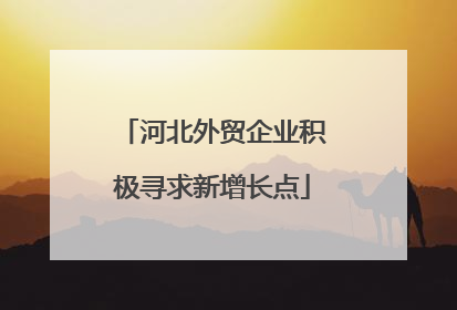 河北外贸企业积极寻求新增长点