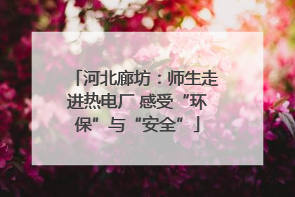 河北廊坊：师生走进热电厂 感受“环保”与“安全”