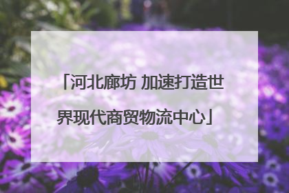 河北廊坊 加速打造世界现代商贸物流中心