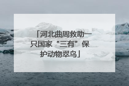 河北曲周救助一只国家“三有”保护动物翠鸟