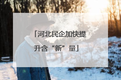 河北民企加快提升含“新”量