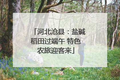 河北沧县：盐碱稻田过端午 特色农旅迎客来