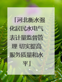 河北衡水强化居民水电气表计量监督管理 切实提高服务质量和水平