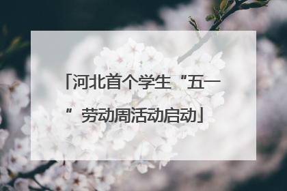河北首个学生“五一”劳动周活动启动