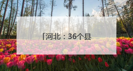 河北：36个县（市、区）建成智慧共享中药房
