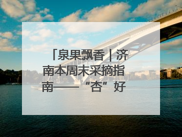 泉果飘香｜济南本周末采摘指南——“杏”好遇见你！