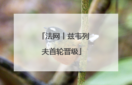法网丨兹韦列夫首轮晋级