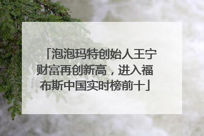 泡泡玛特创始人王宁财富再创新高，进入福布斯中国实时榜前十