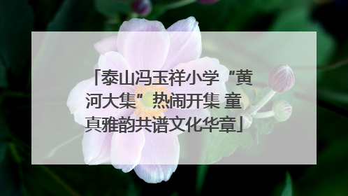 泰山冯玉祥小学“黄河大集”热闹开集 童真雅韵共谱文化华章