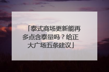泰式商场更新能再多点含泰量吗？给正大广场五条建议