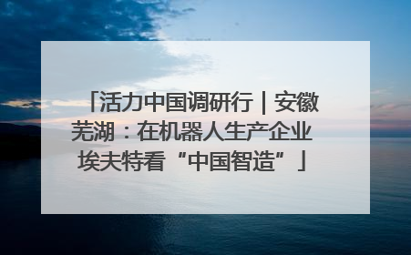 活力中国调研行｜安徽芜湖：在机器人生产企业埃夫特看“中国智造”