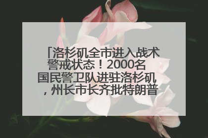 洛杉矶全市进入战术警戒状态！2000名国民警卫队进驻洛杉矶，州长市长齐批特朗普“制造混乱”