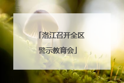 洛江召开全区警示教育会