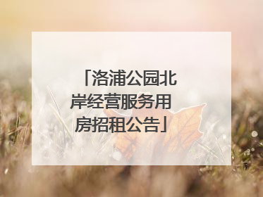 洛浦公园北岸经营服务用房招租公告